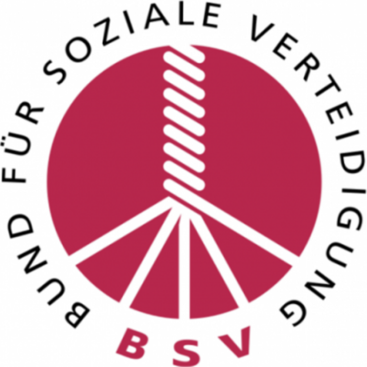 BSV logo