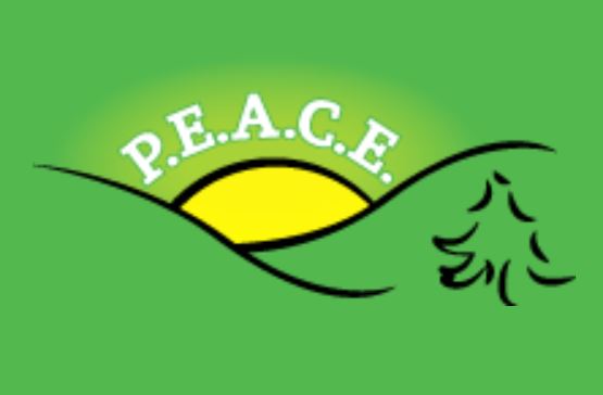 P.E.A.C.E logo