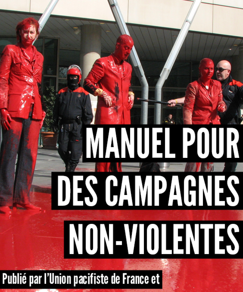 Cover of Manuel Pour Des Campagnes Non-Violentes